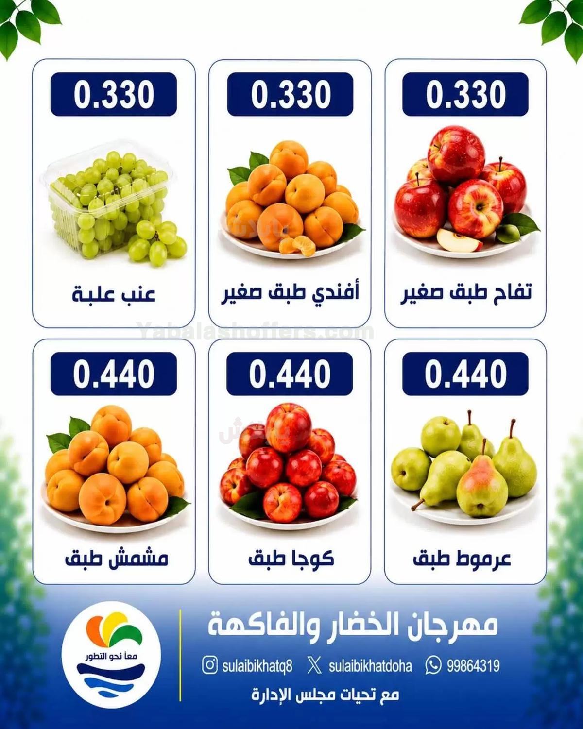 صفحة 3