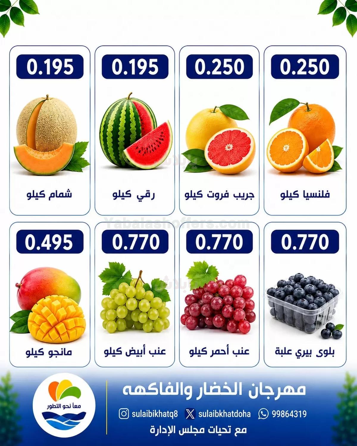 صفحة 4