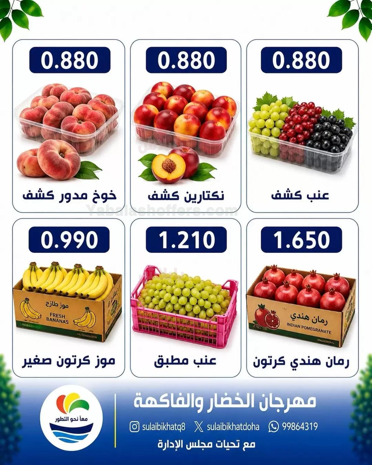 صفحة 6