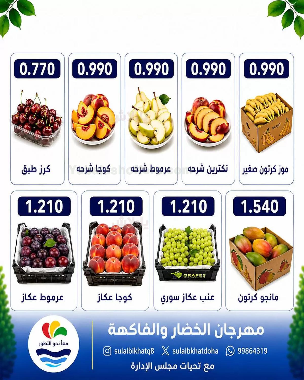 صفحة 4