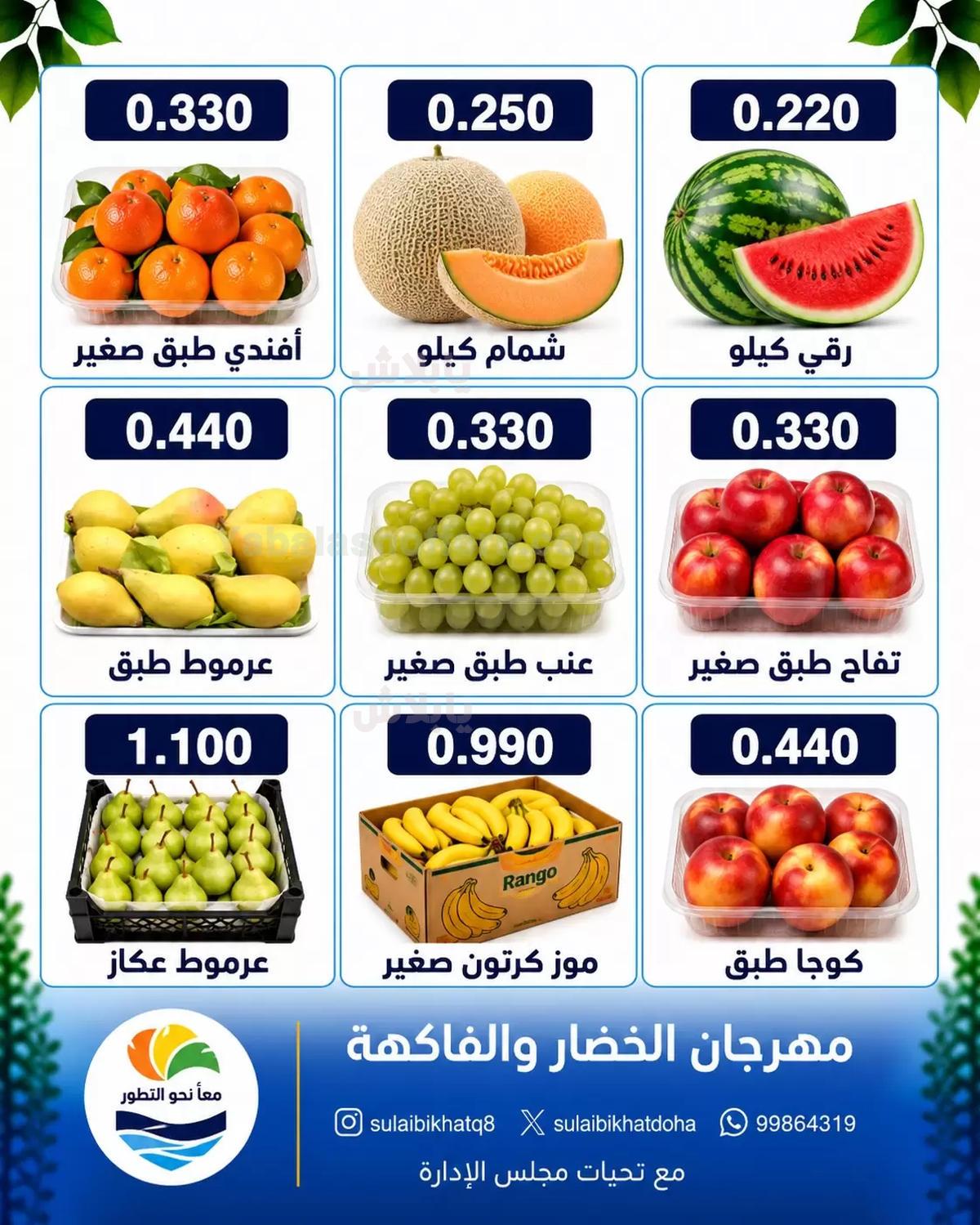 صفحة 3