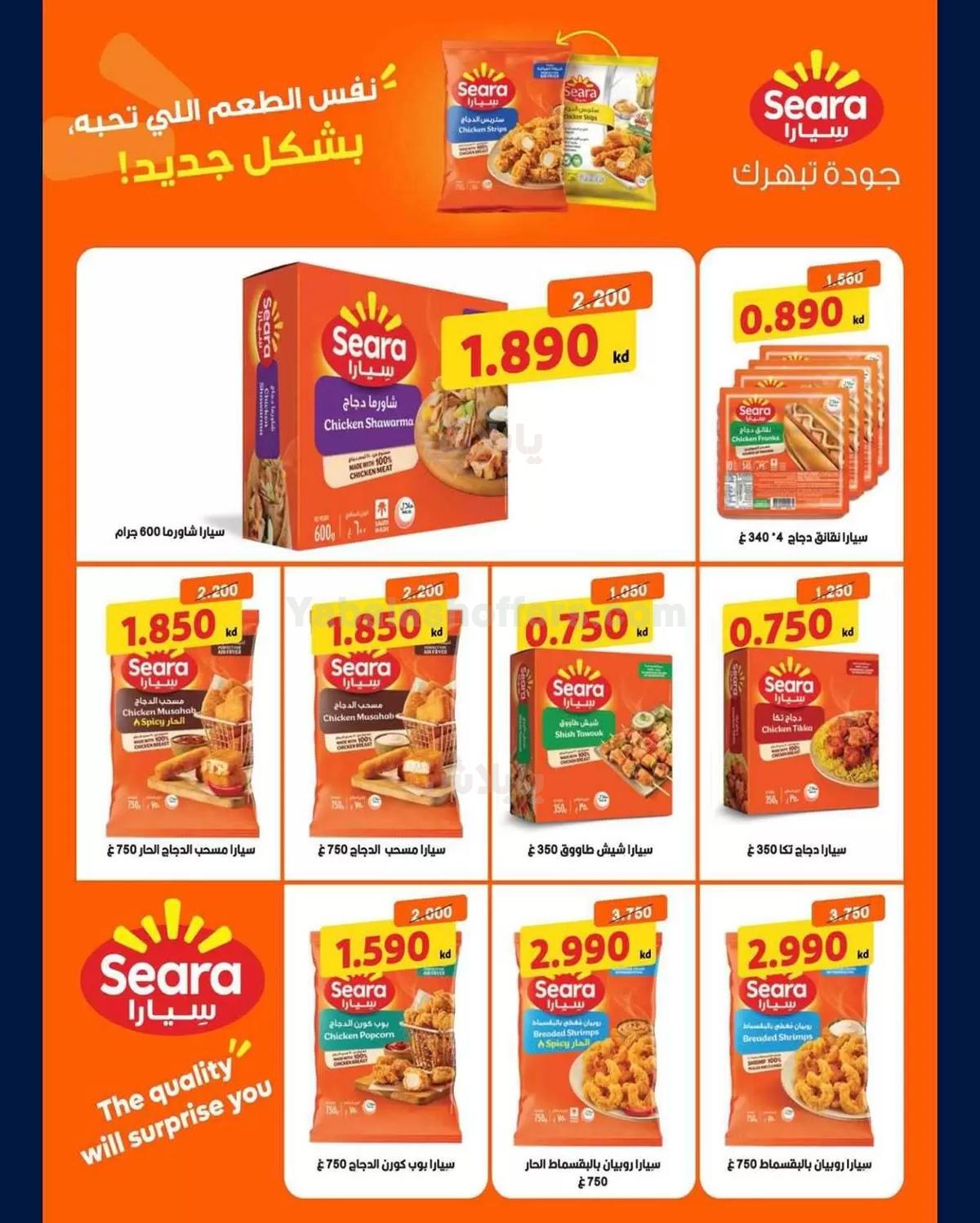 صفحة 4