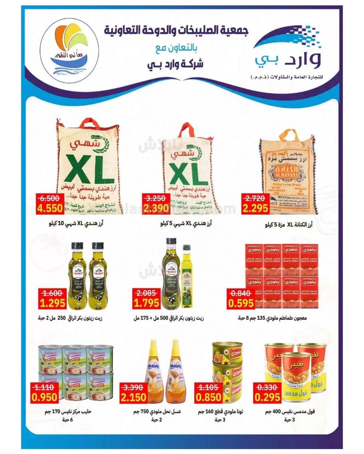 صفحة 20