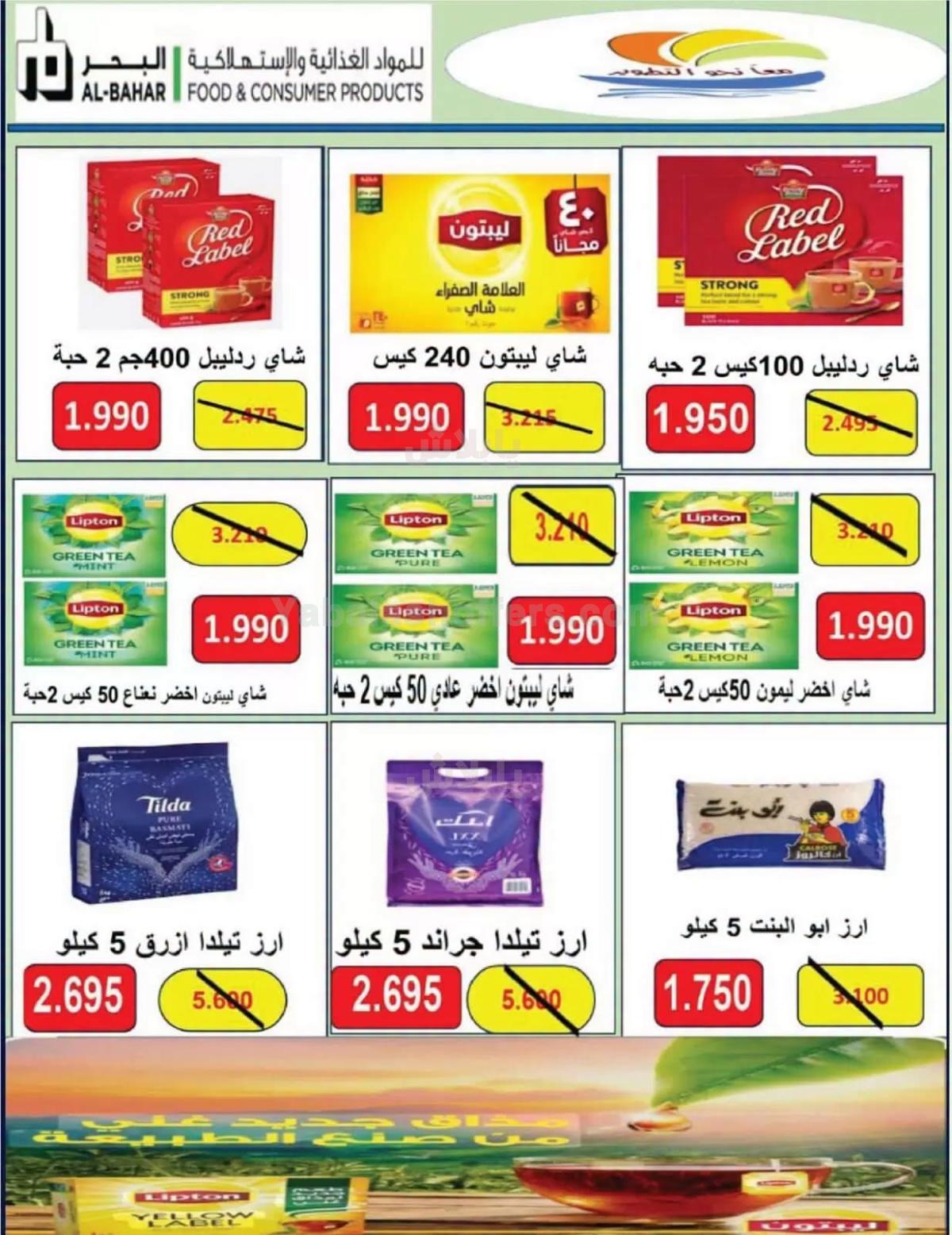 صفحة 10