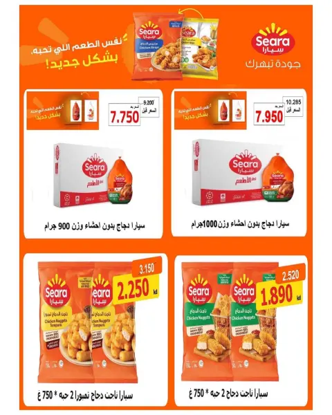 صفحة 17