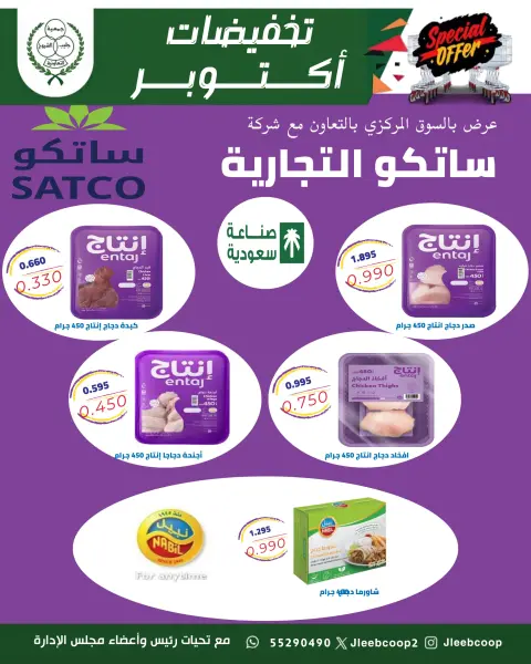 صفحة 13