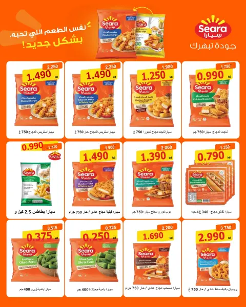 صفحة 16