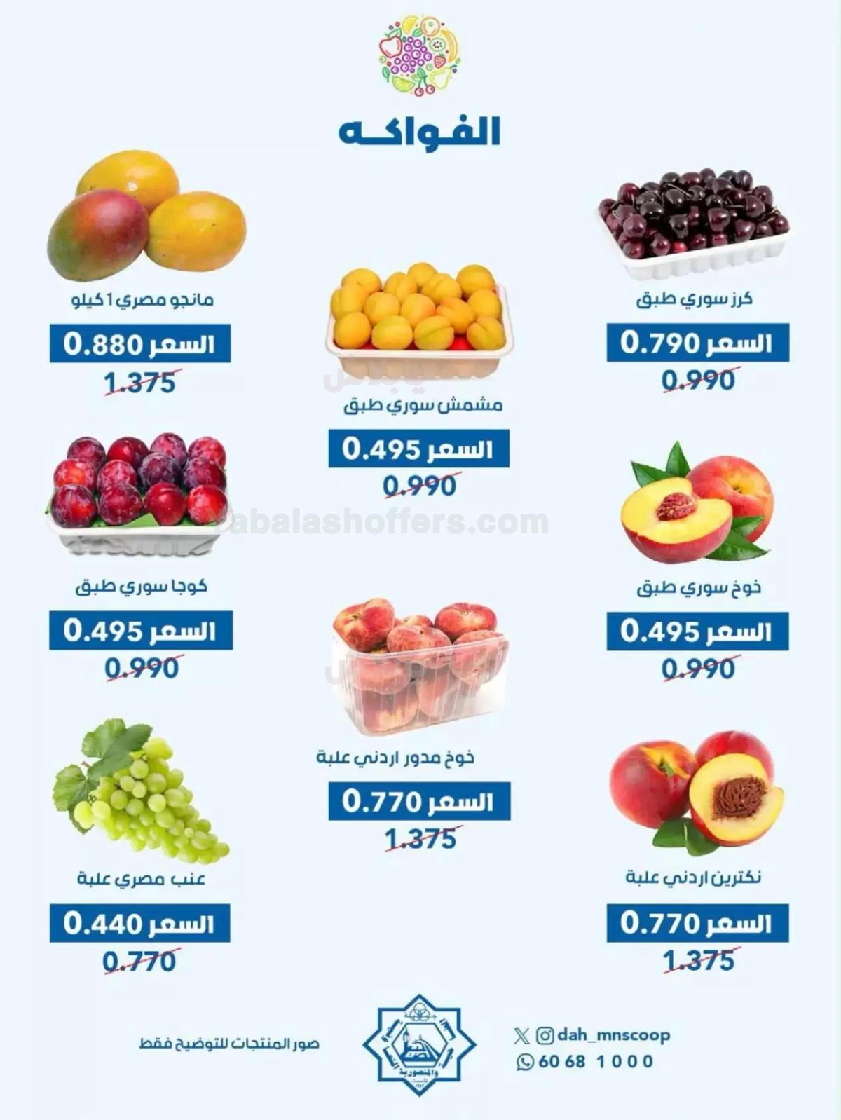 صفحة 4