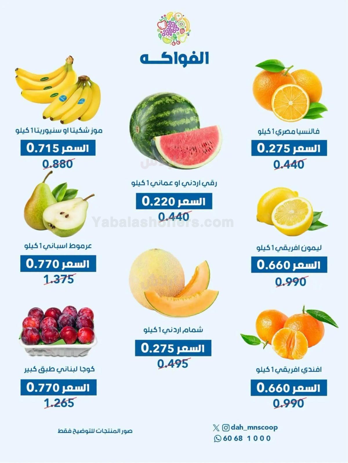 صفحة 3