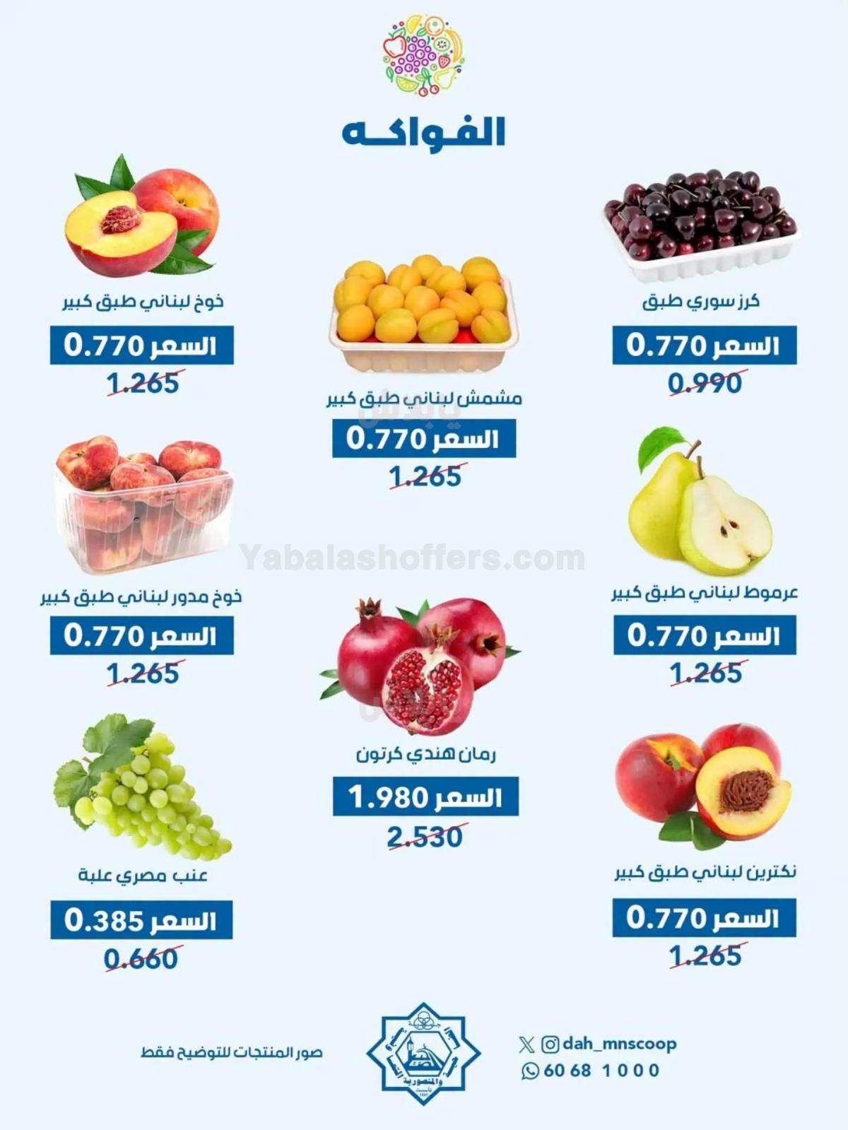 صفحة 4