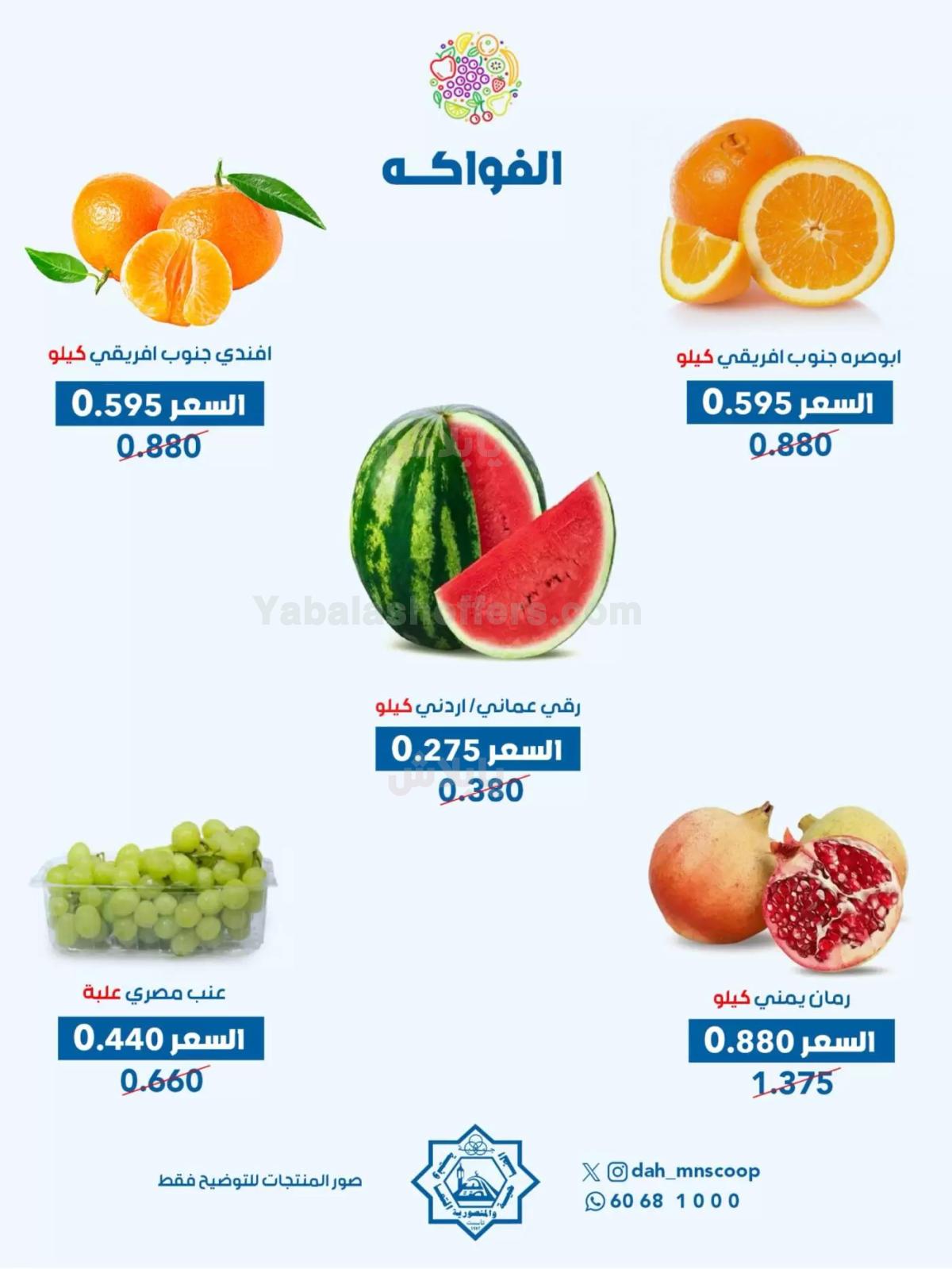 صفحة 4