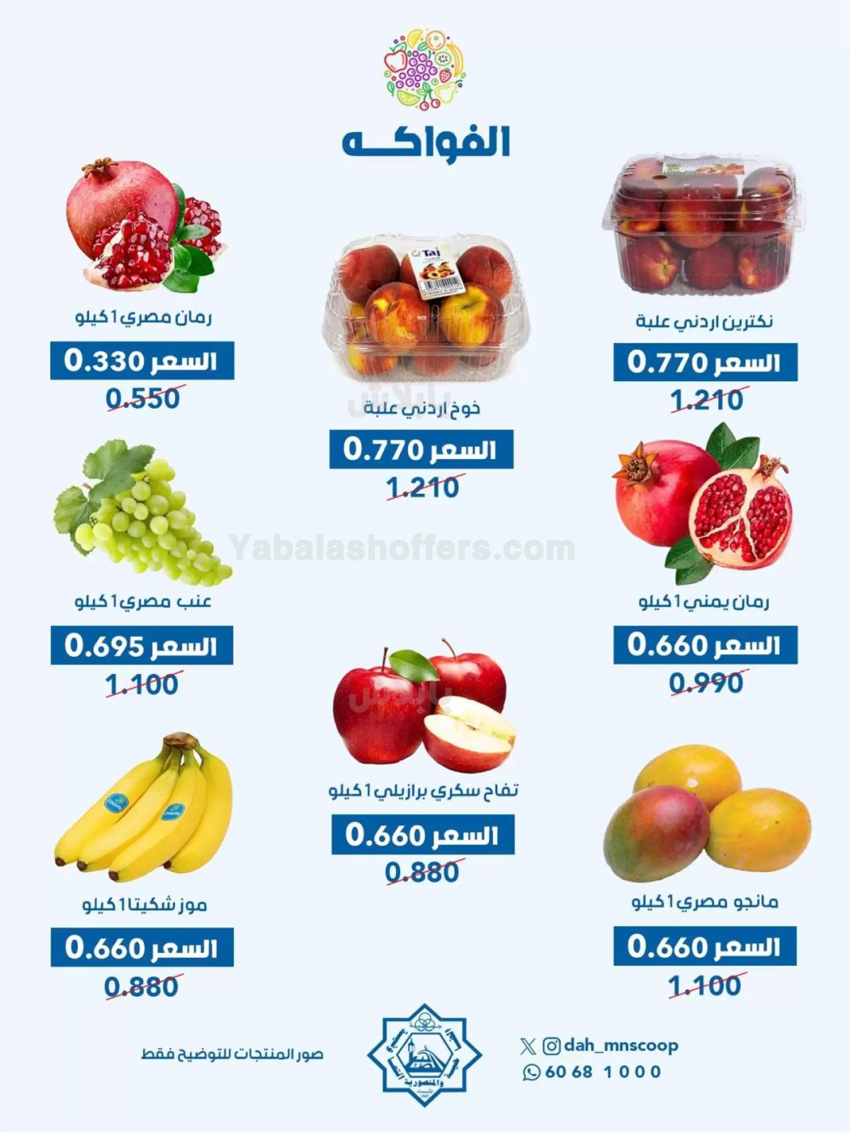 صفحة 4