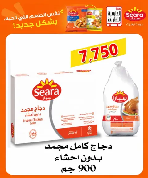 صفحة 20