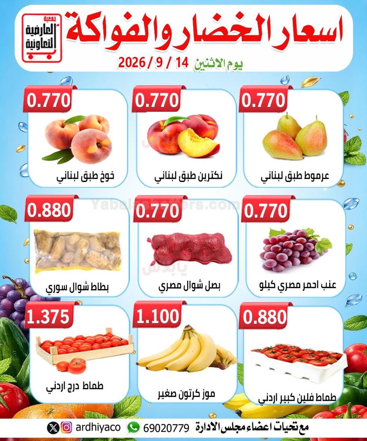 صفحة 3