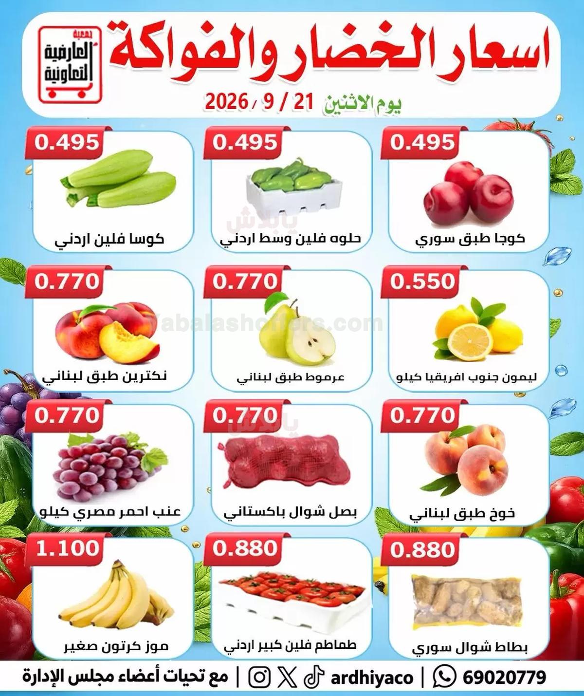صفحة 4
