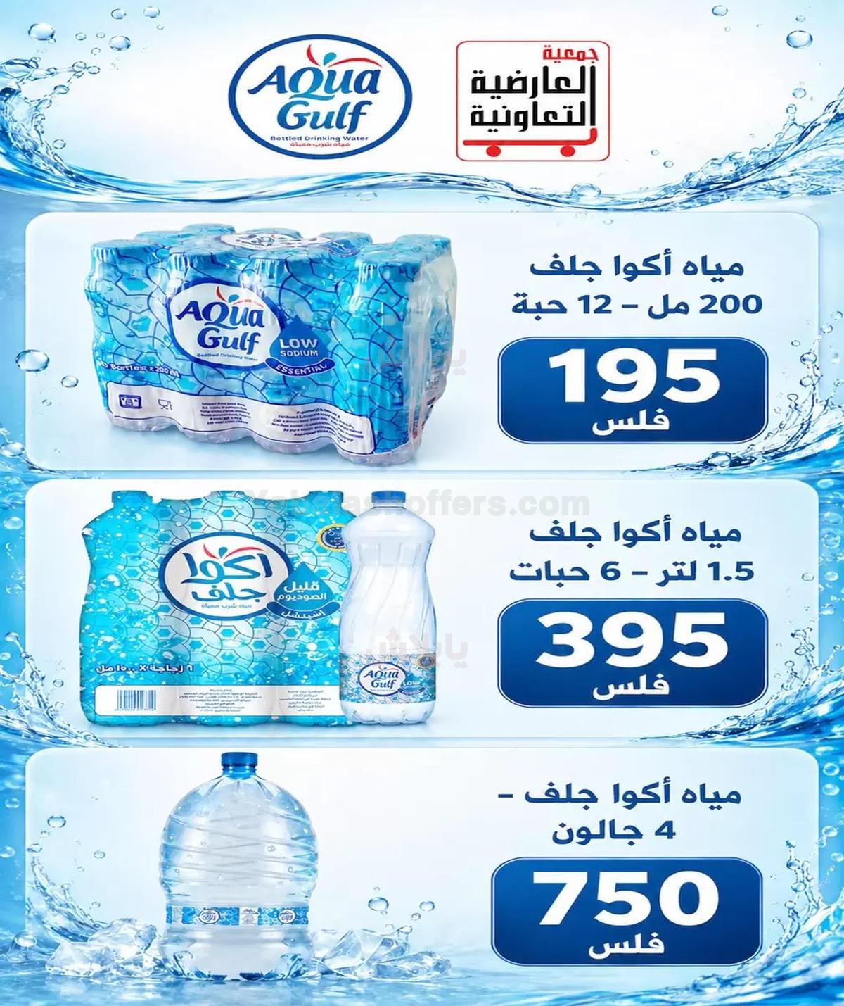 صفحة 3