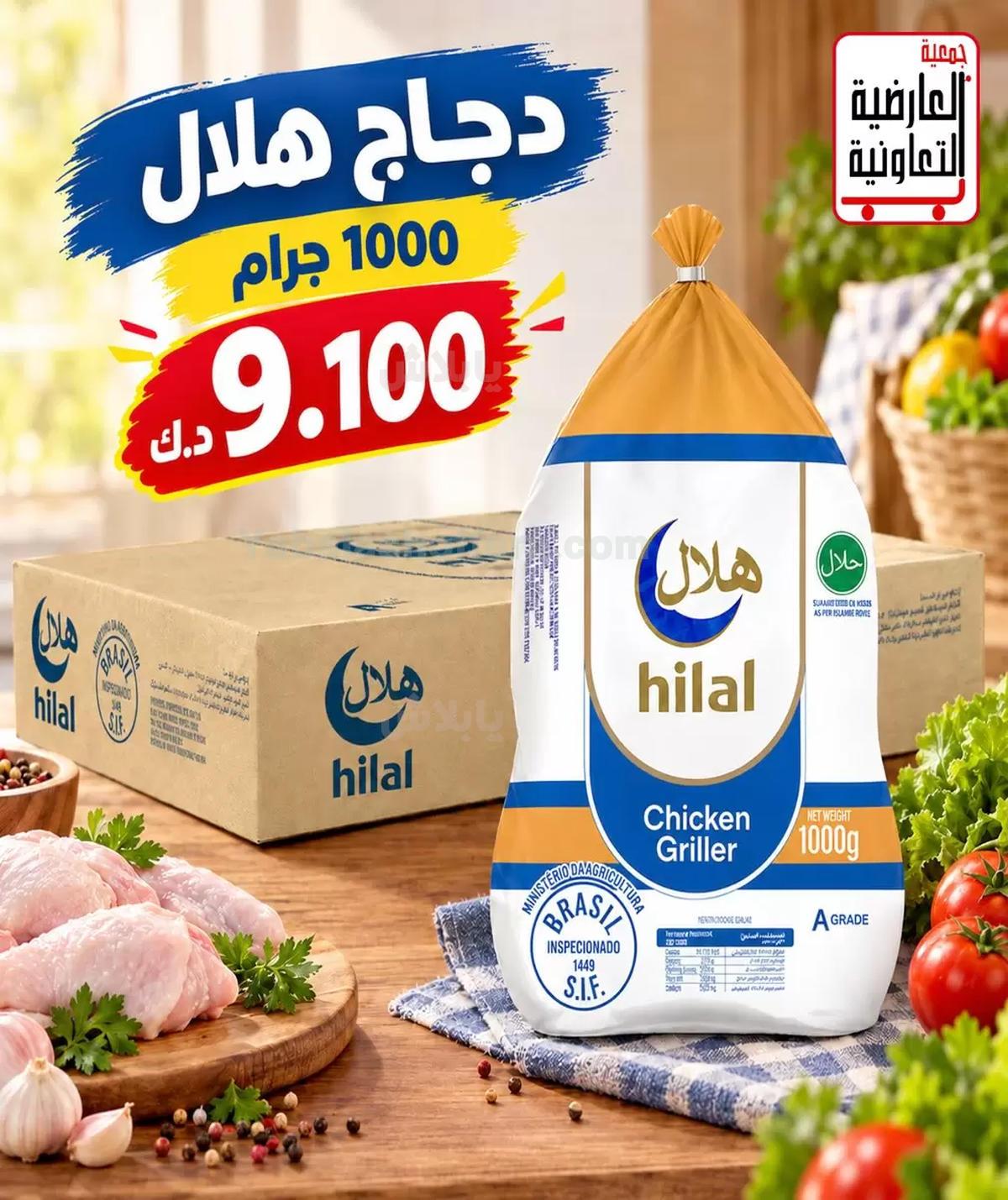 صفحة 11