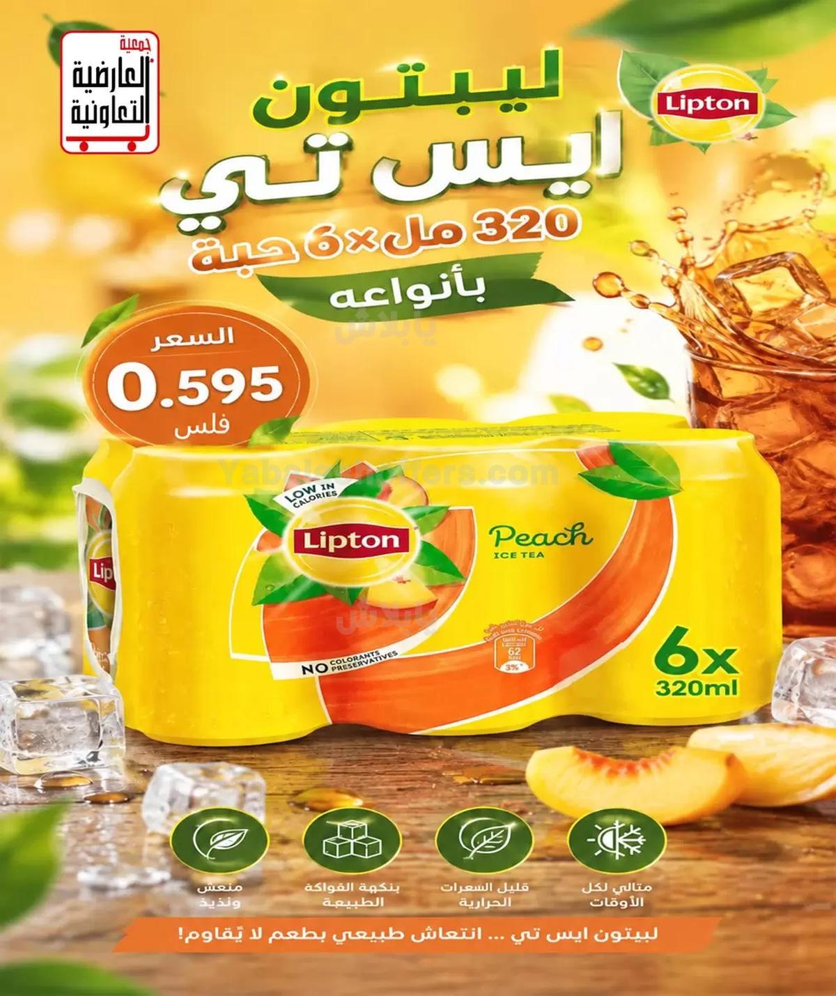 صفحة 12