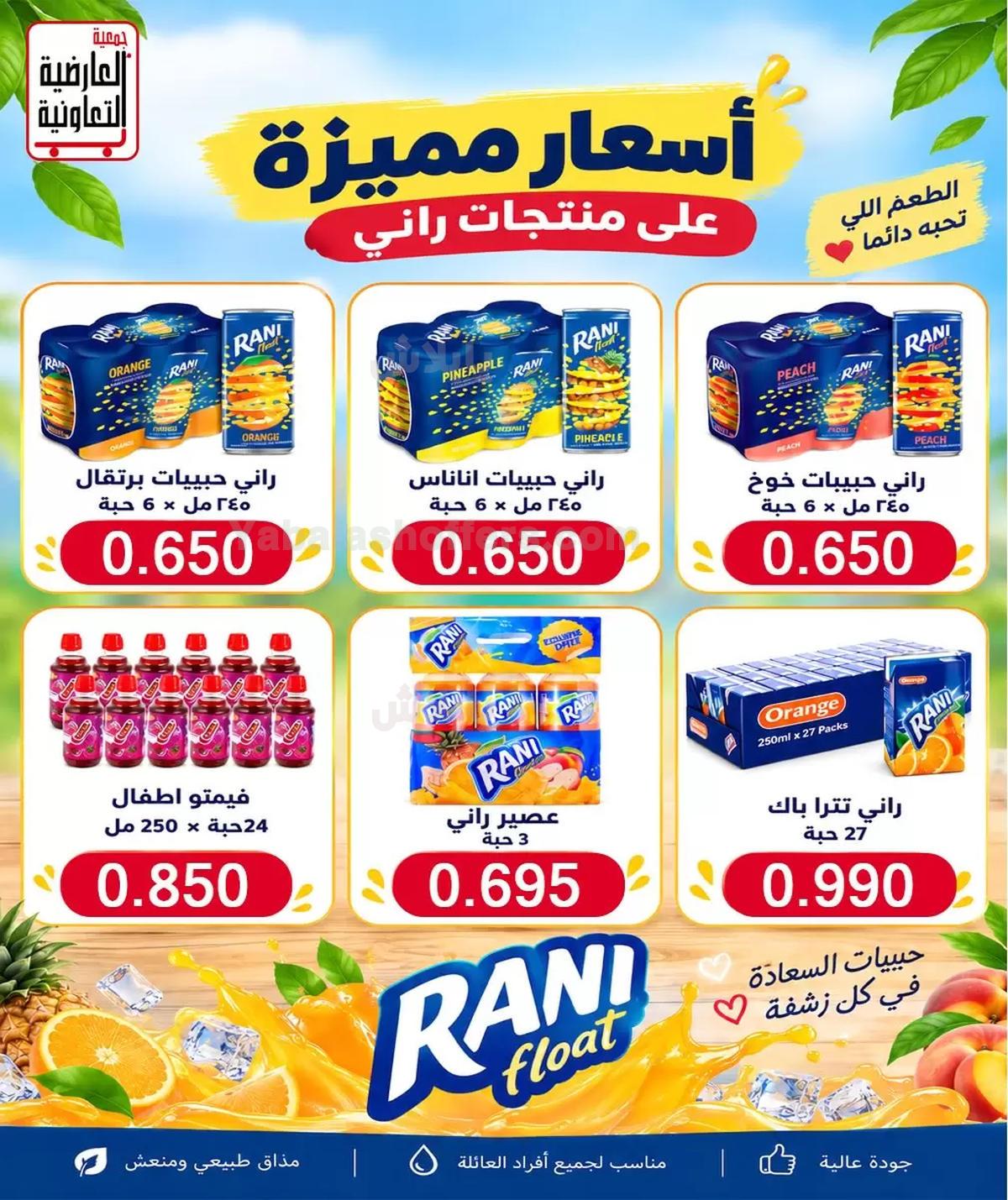 صفحة 13