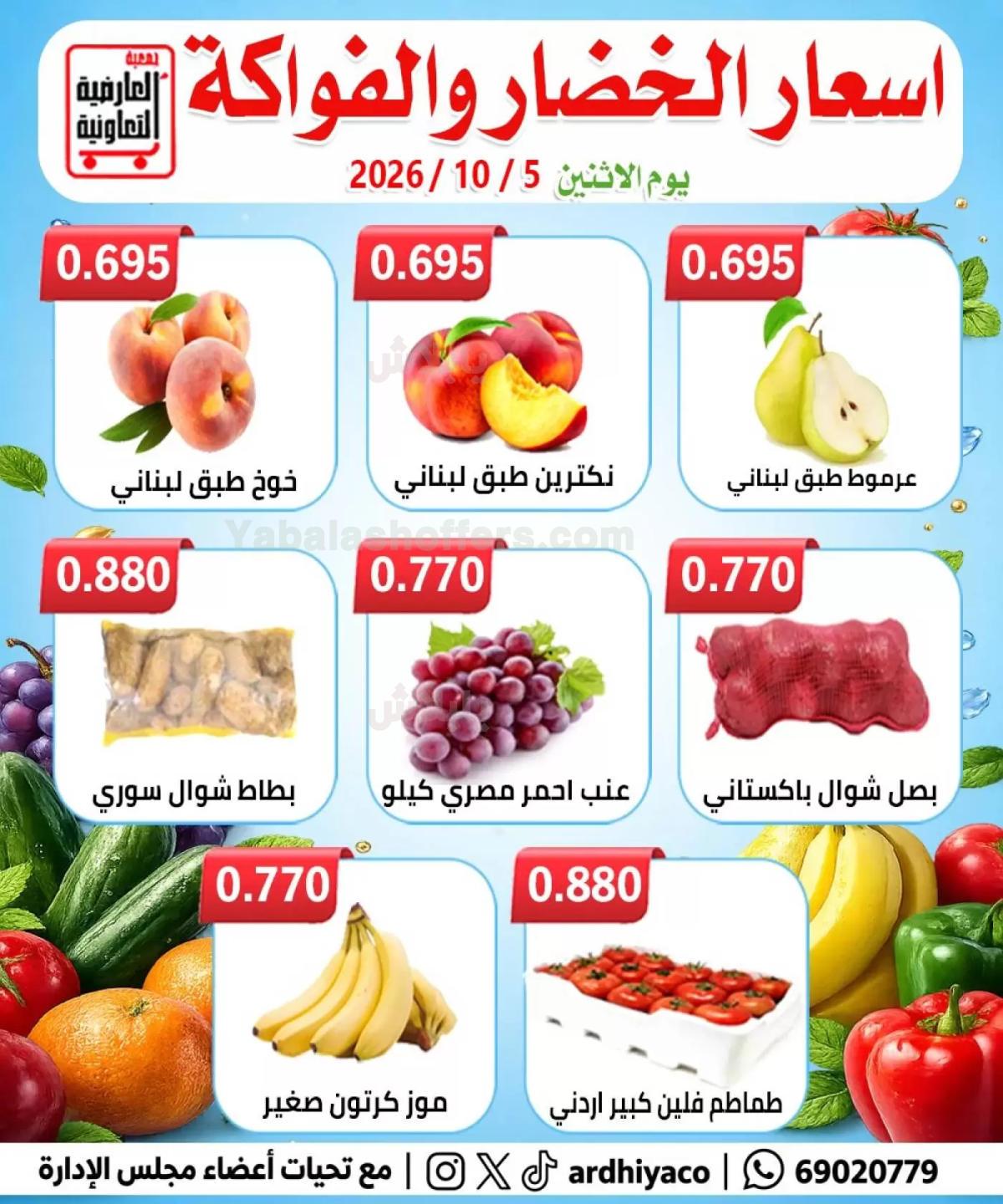 صفحة 4