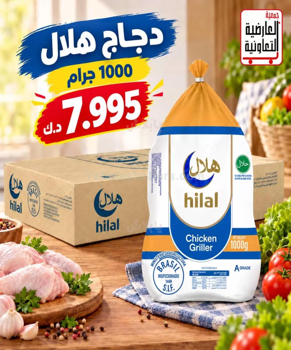 صفحة 7