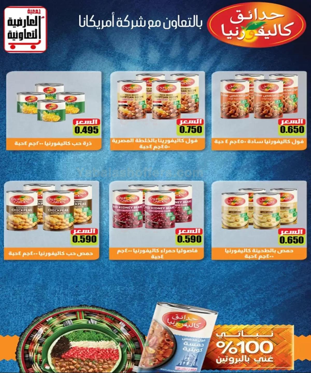 صفحة 11
