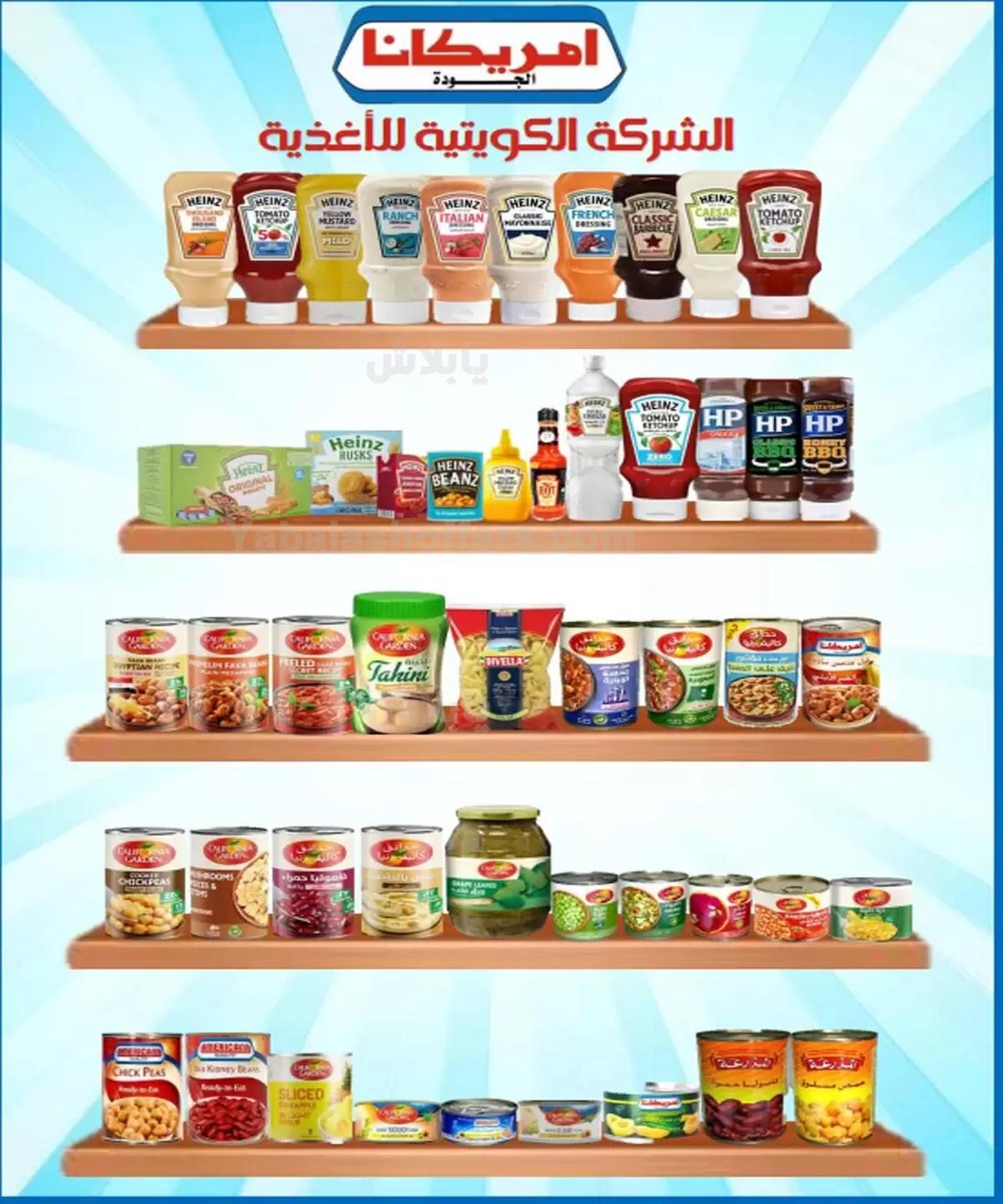 صفحة 12