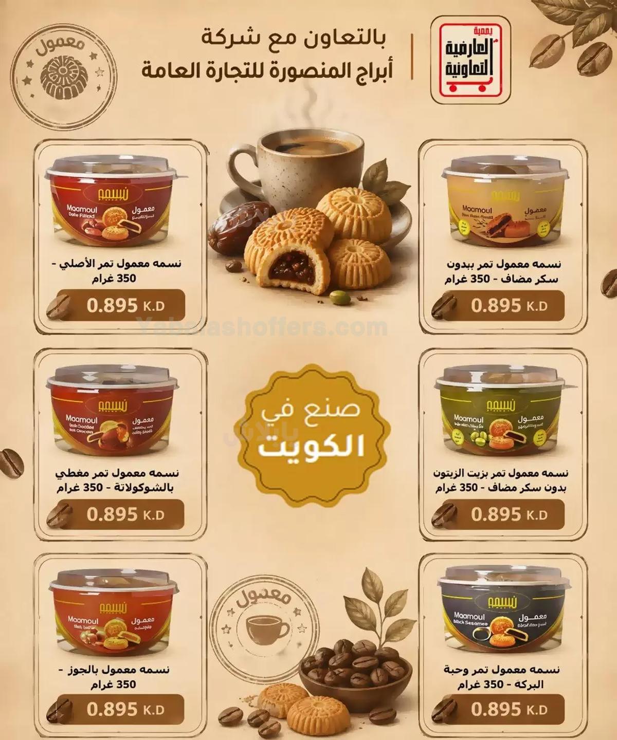 صفحة 13
