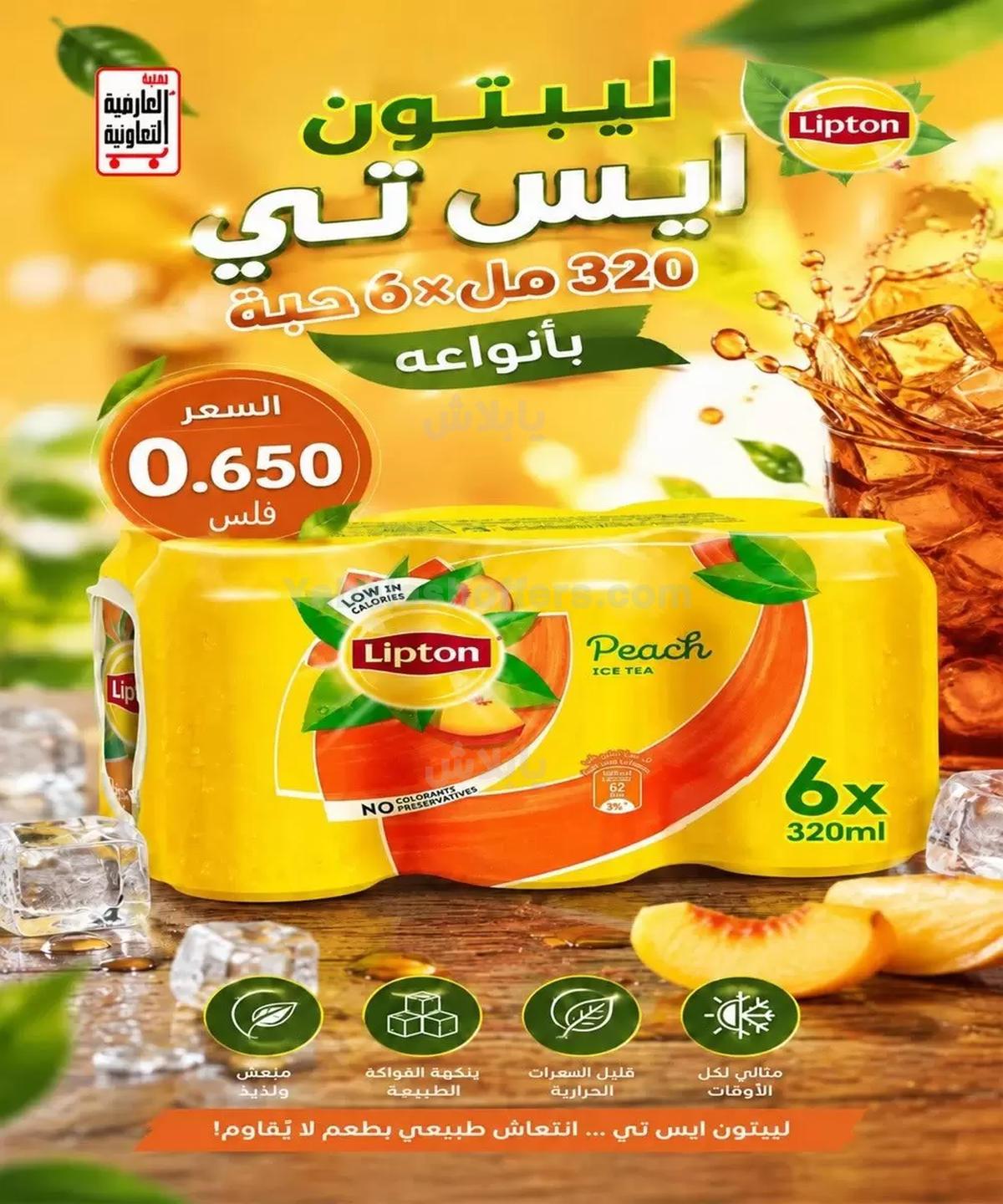 صفحة 14