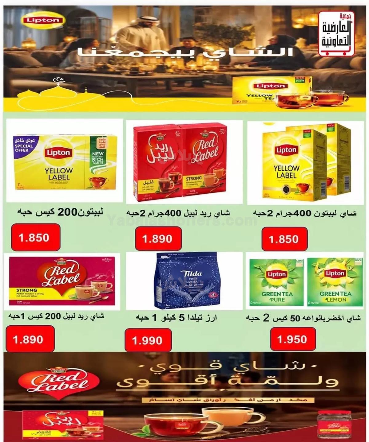 صفحة 15