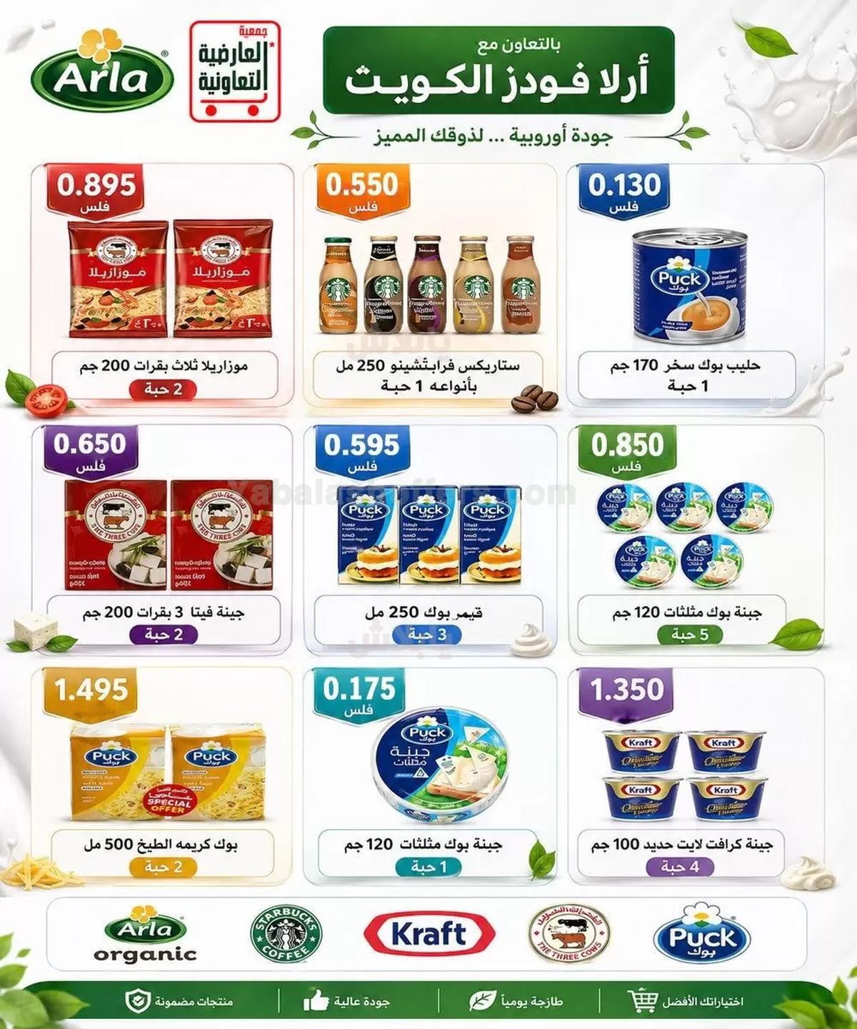 صفحة 29