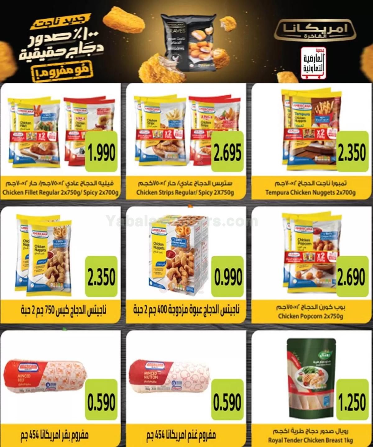 صفحة 4