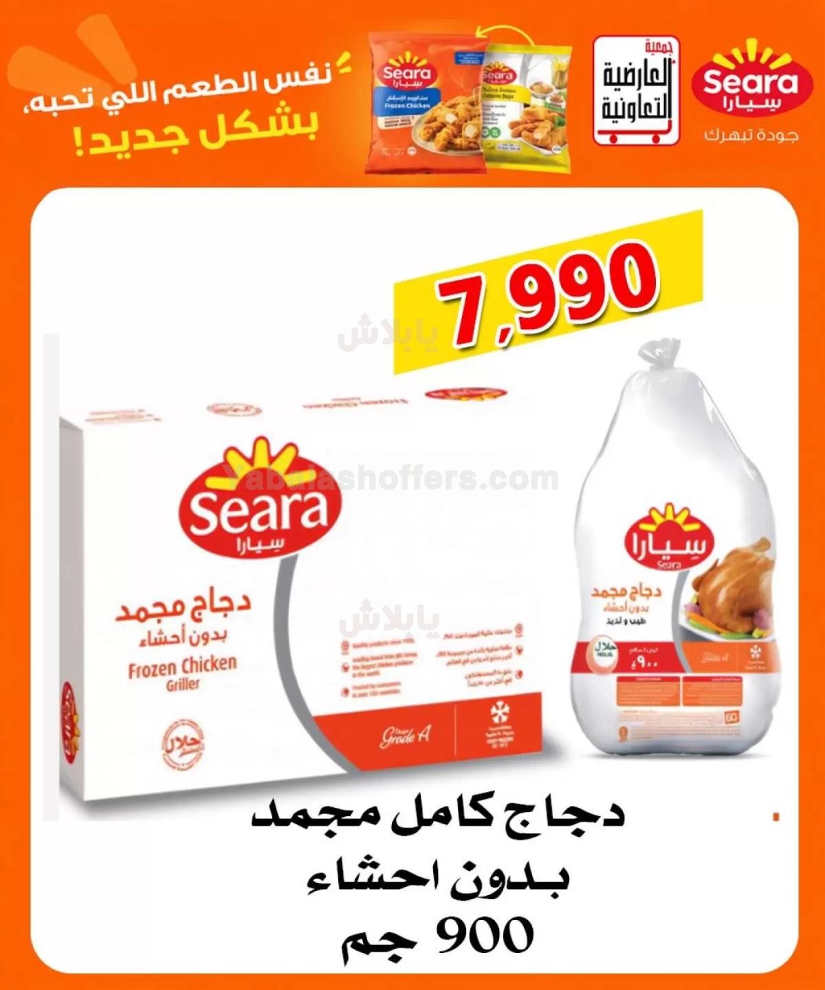 صفحة 8