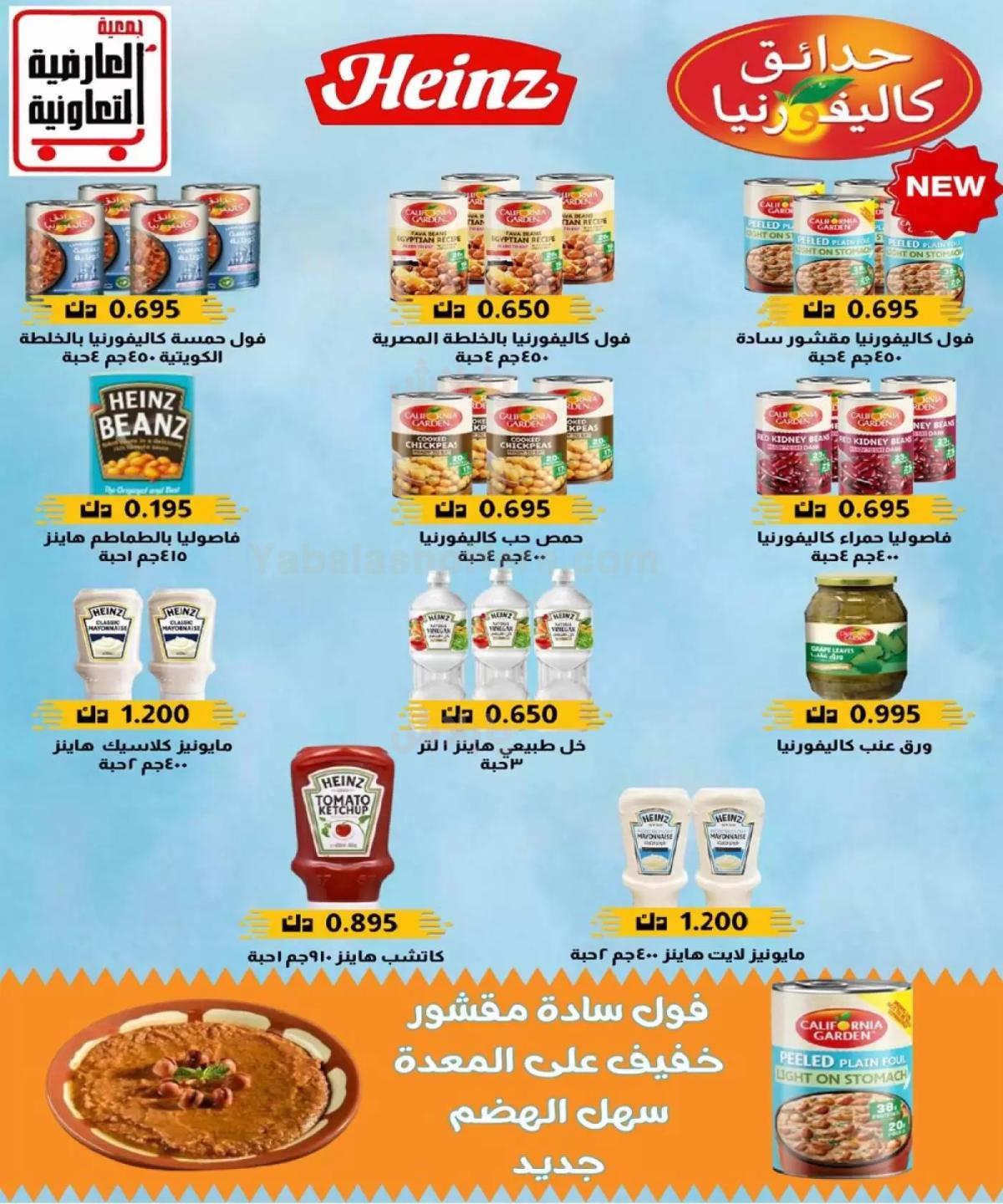 صفحة 11