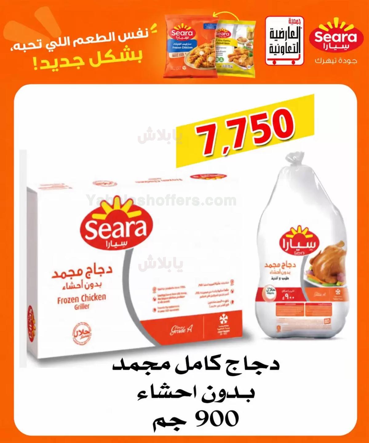 صفحة 7