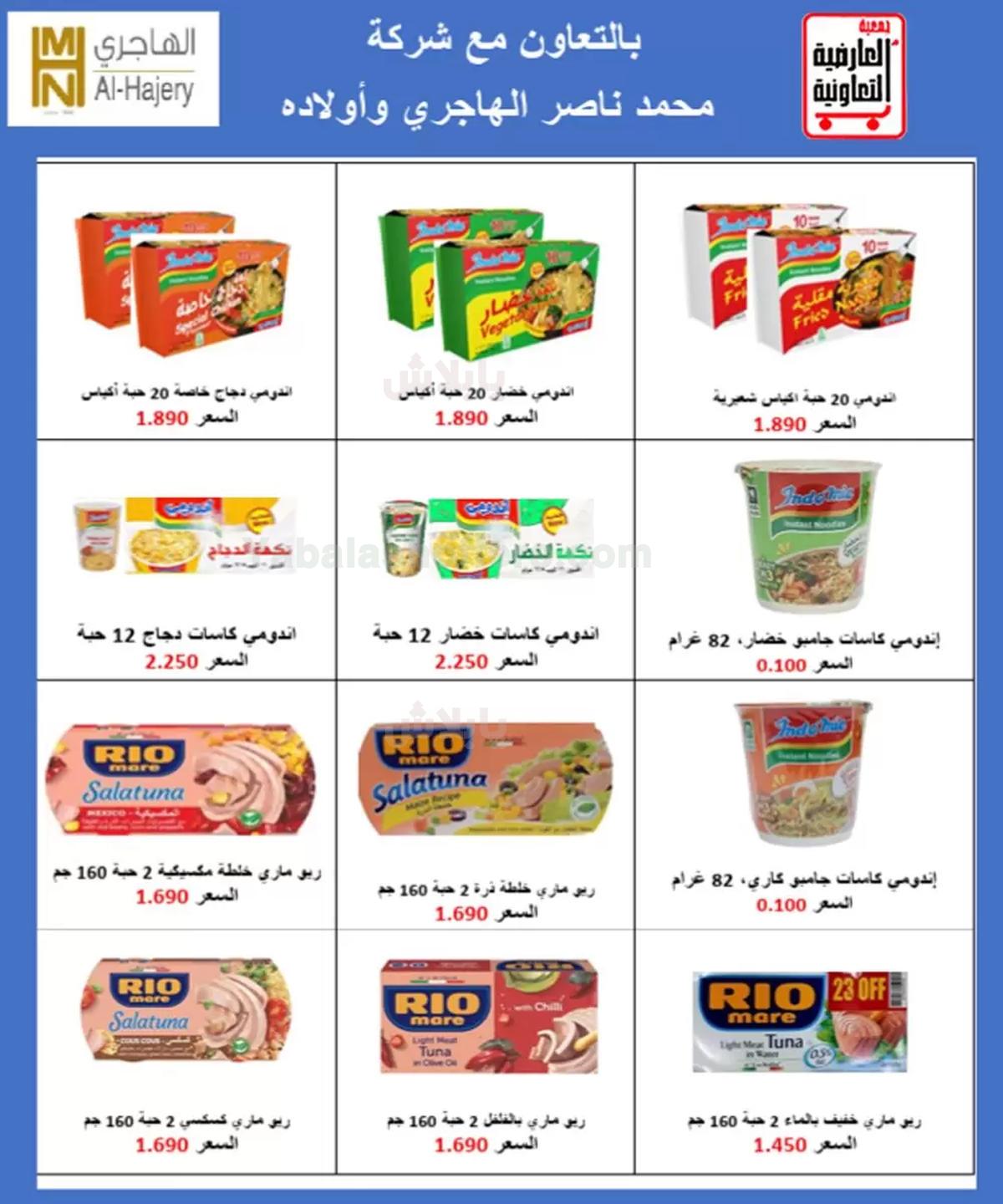 صفحة 17