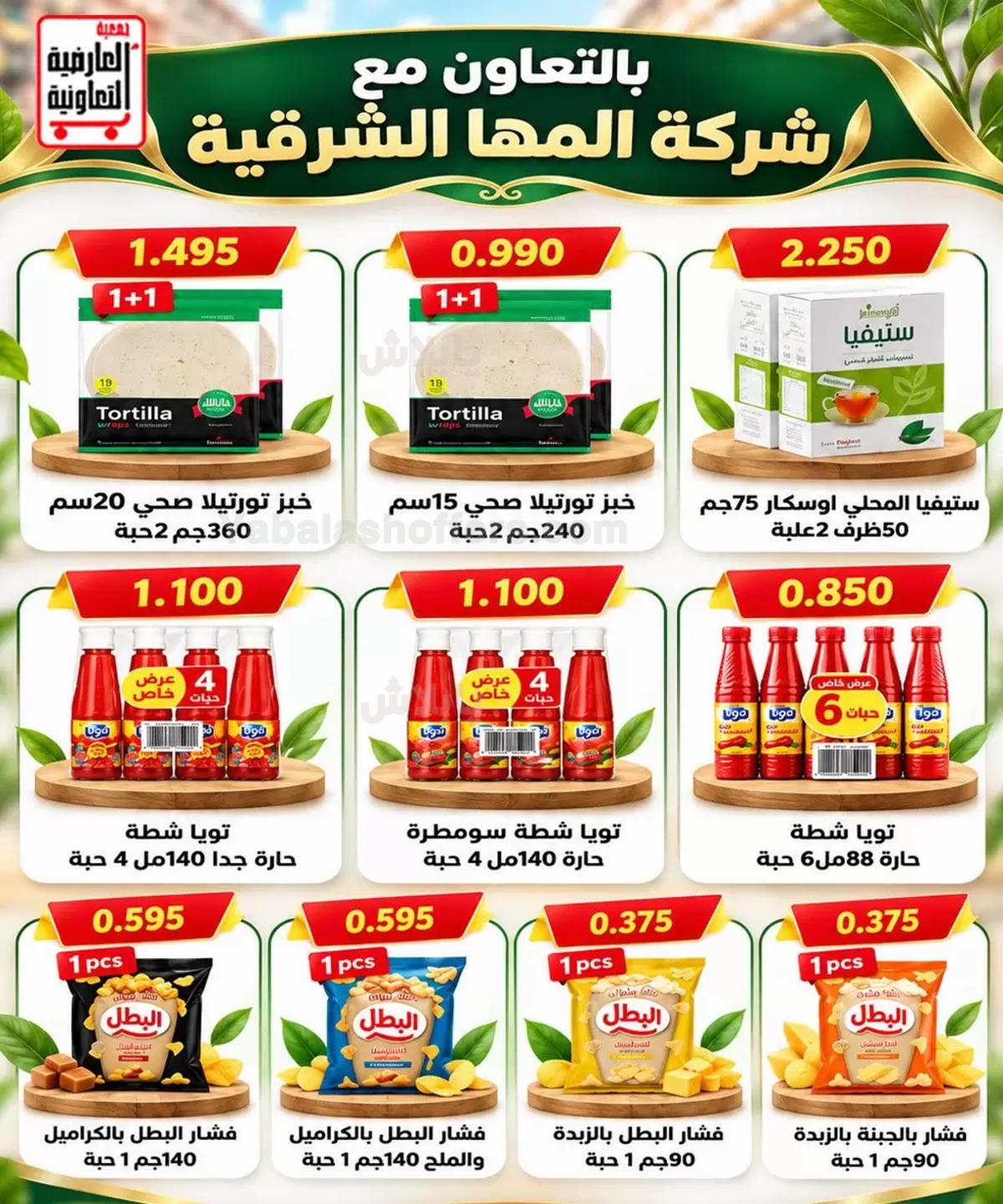 صفحة 24