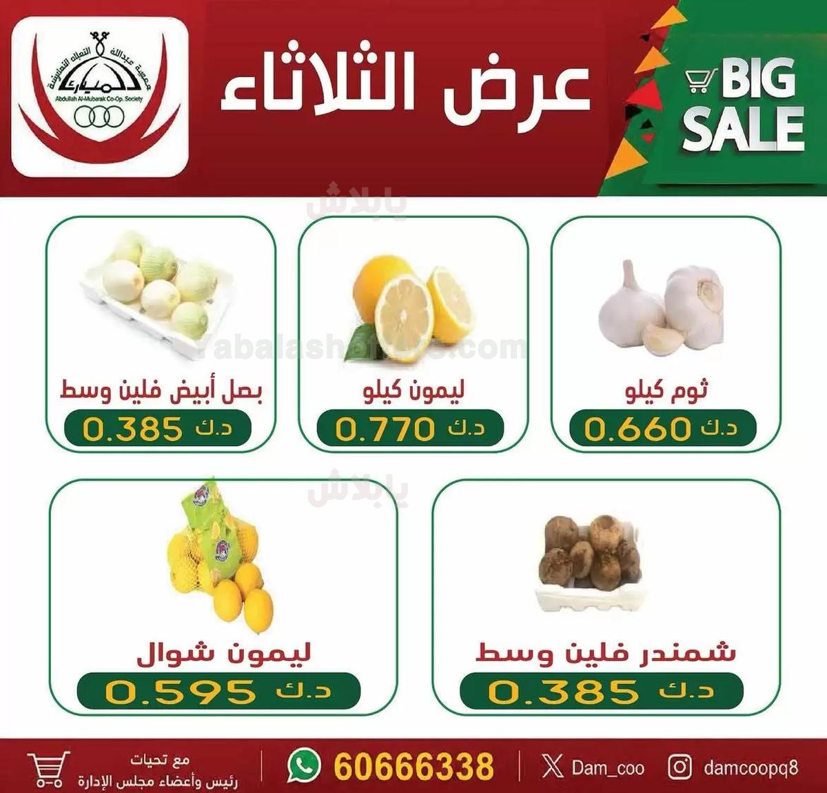 صفحة 4