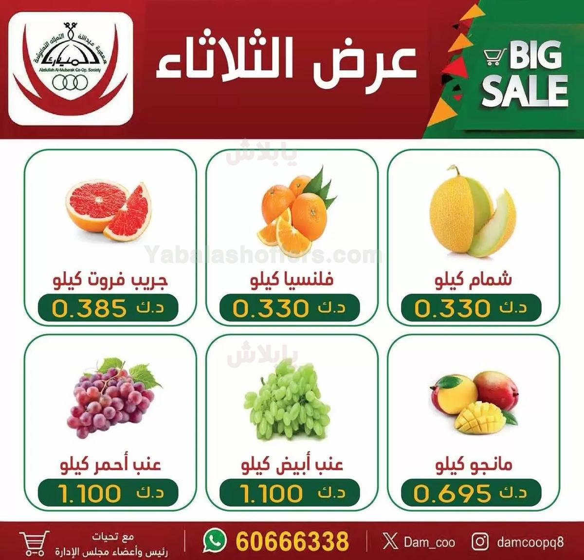 صفحة 3