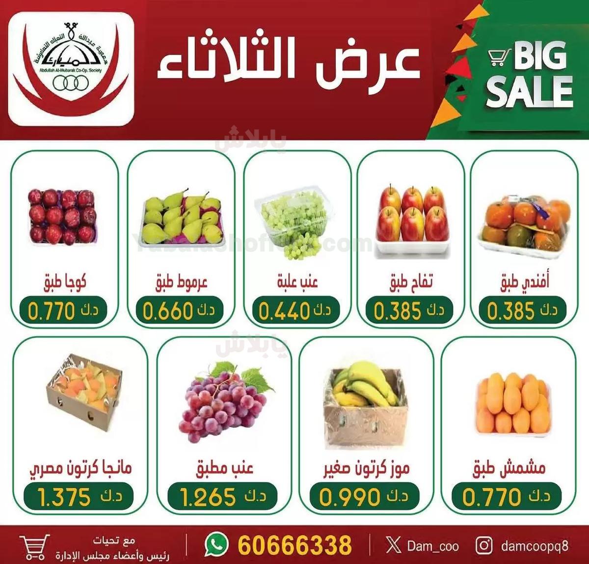 صفحة 4