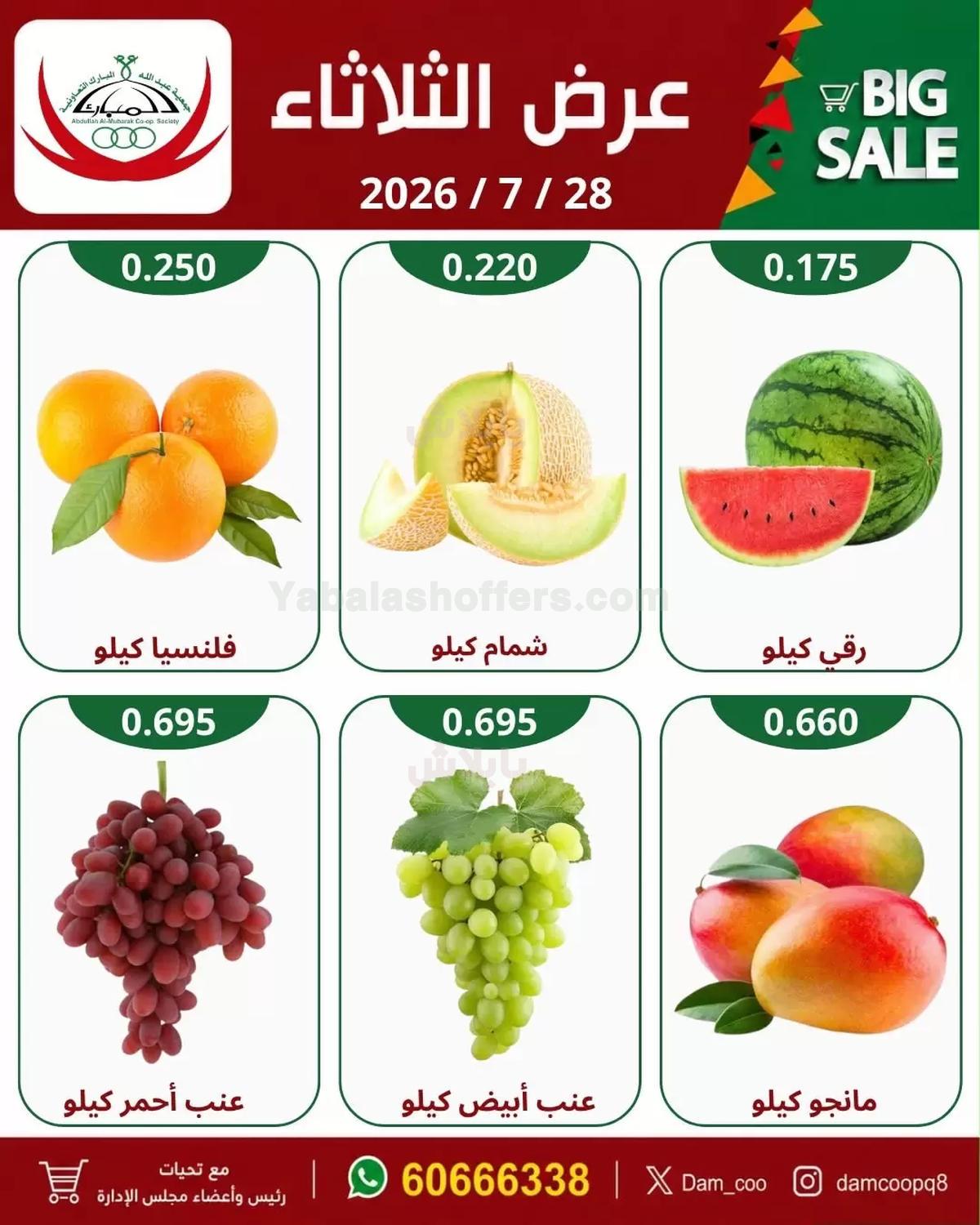 صفحة 3