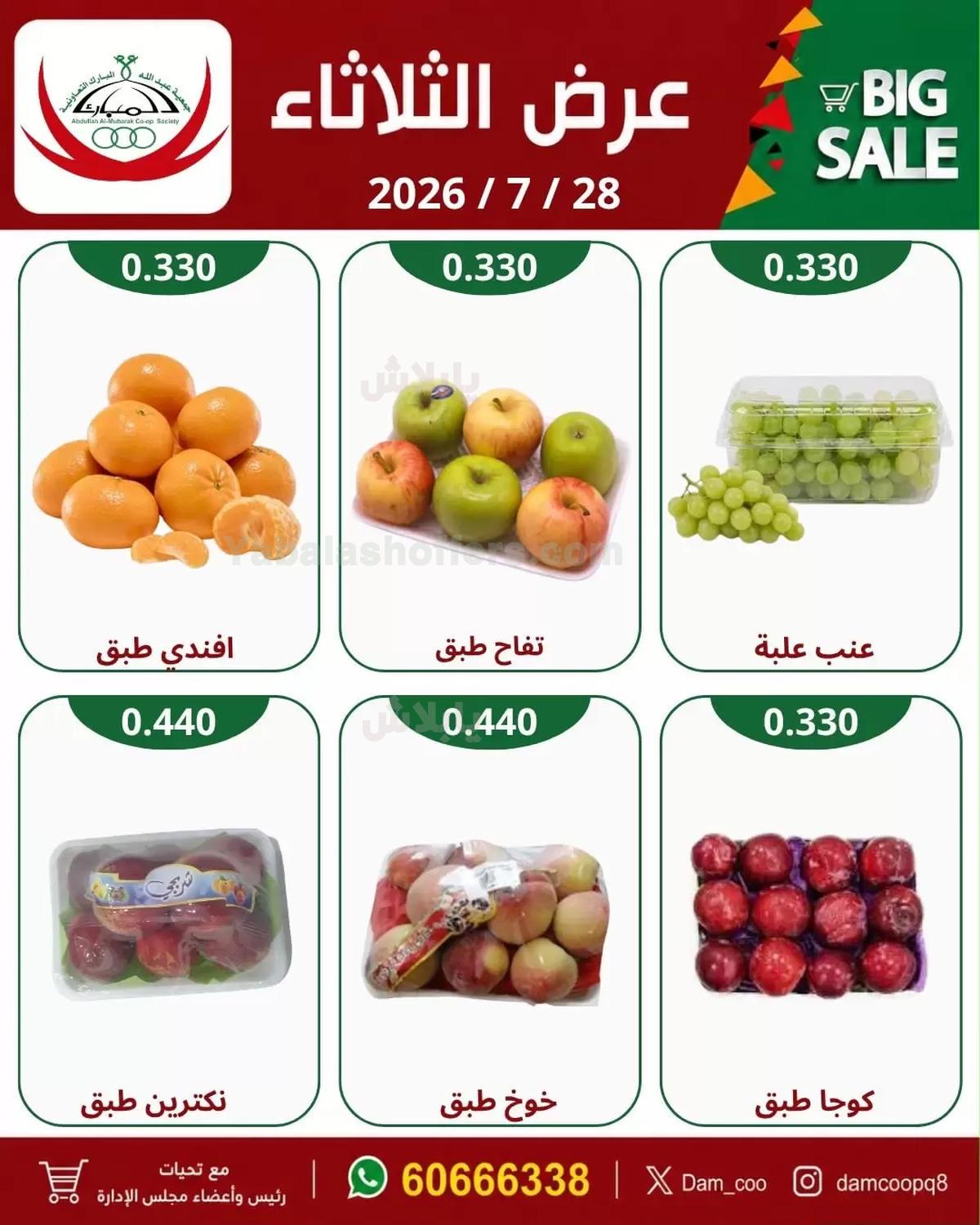 صفحة 4