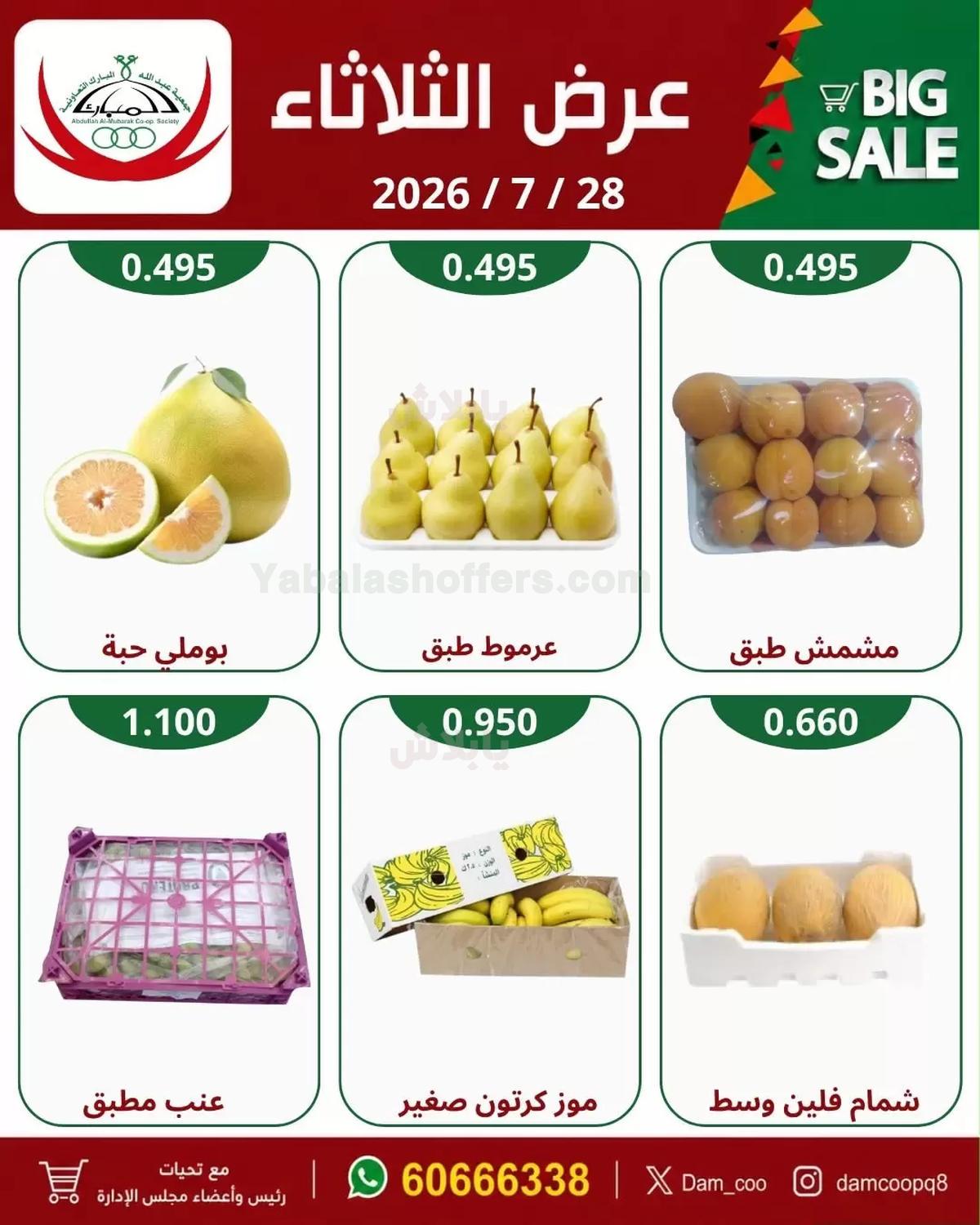 صفحة 5