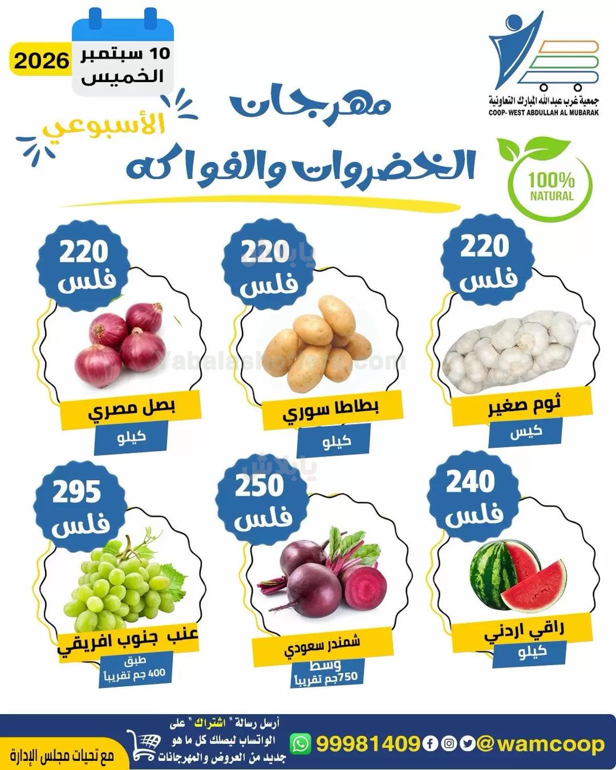 صفحة 2