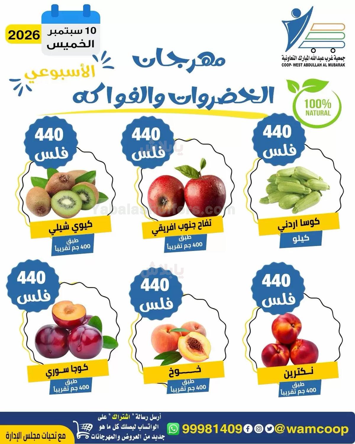 صفحة 4