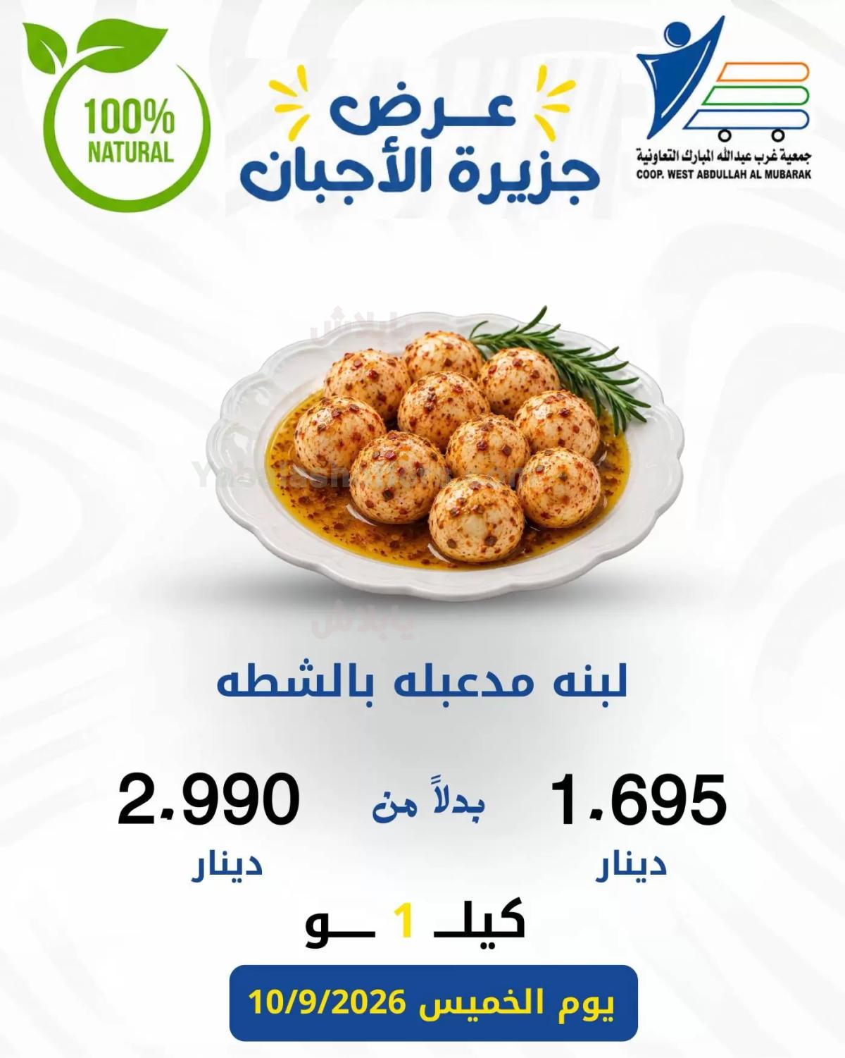 صفحة 2