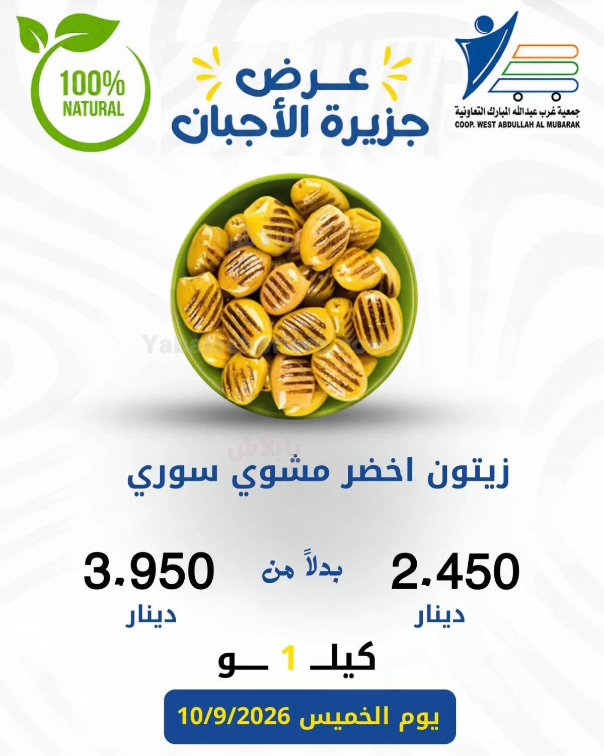 صفحة 3