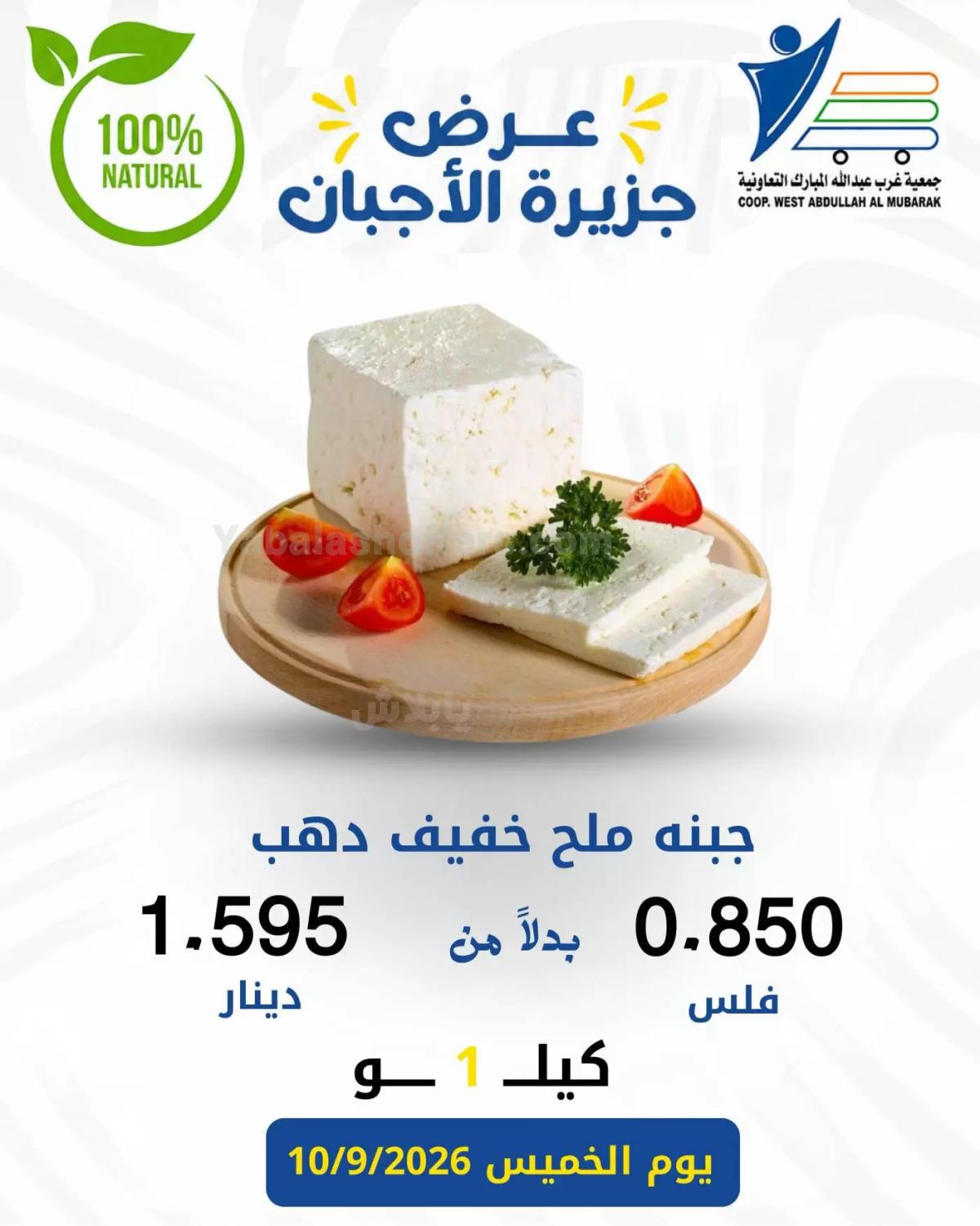 صفحة 7