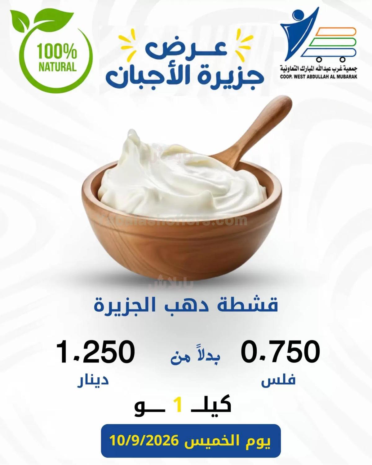صفحة 8