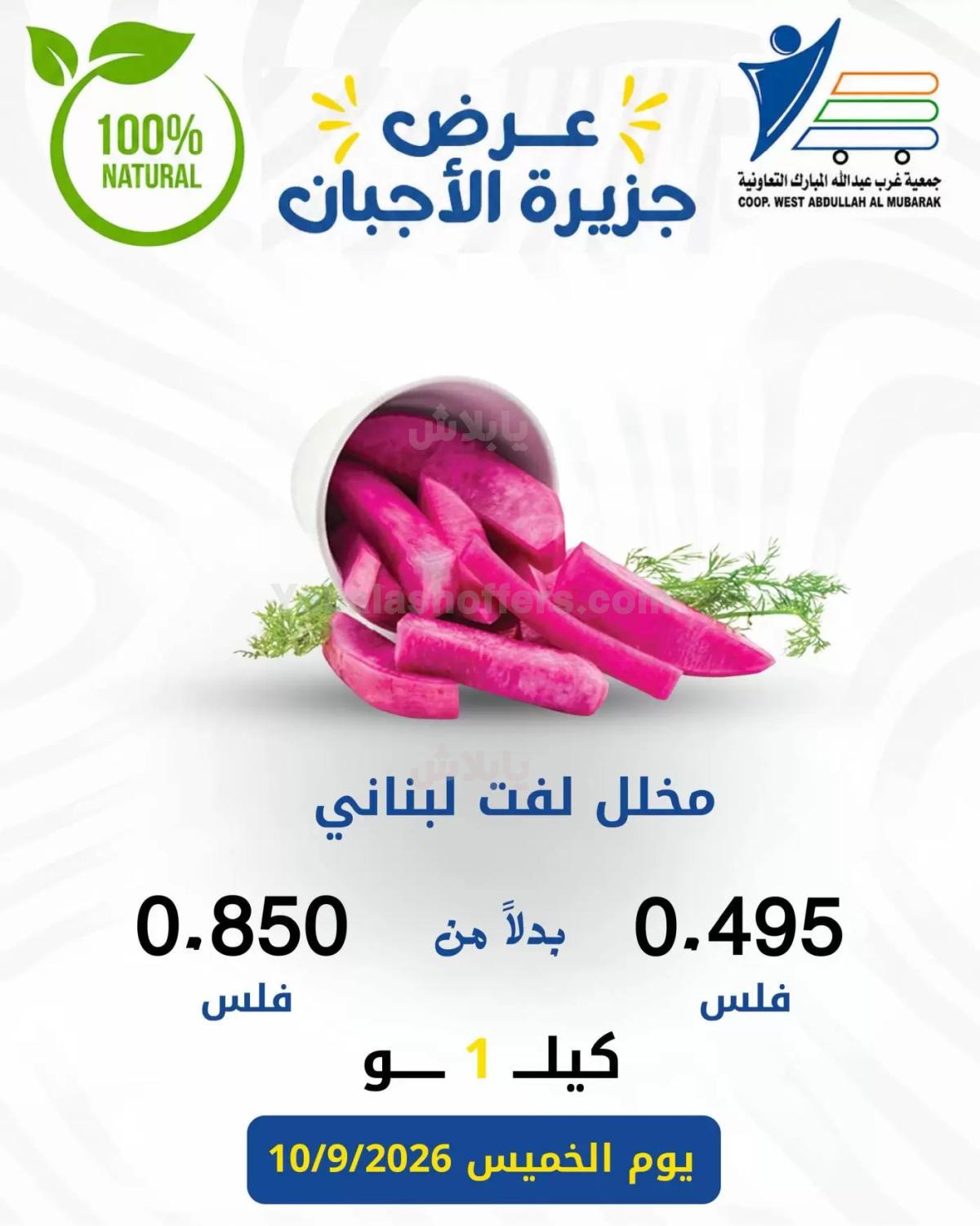 صفحة 10